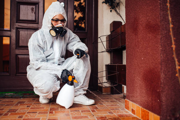 Reliable Wasp Removal contractor in Davenport, FL by Show Me Pest Control
